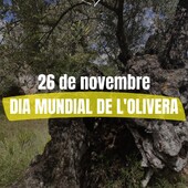 Donem valor al producte que ens ofereix aquest arbre tant màgic, l'olivera. Un ingredient indispensable per la nostra dieta mediterrània ✨

𝗙𝗲𝗹𝗶ç 𝗱𝗶𝗮 𝗺𝘂𝗻𝗱𝗶𝗮𝗹 𝗱𝗲 𝗹'𝗼𝗹𝗶𝘃𝗲𝗿𝗮 💚

#ecopagesos #lapalmadebre #olivera #oliolivavergeextra #diamundialdelolivera